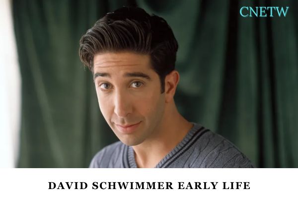 David Schwimmer Early Life