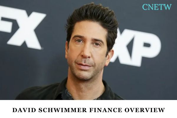 David Schwimmer Finance Overview