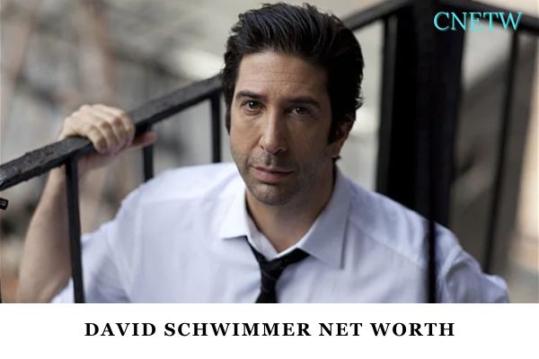 David Schwimmer Net Worth